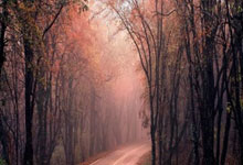 PG中国登录入口-曼联阵中多名球员状态回暖，备战充满信心