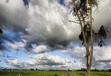 PG电子官网-布宜诺斯艾利斯独立主场优势明显，球迷期待逆转奇迹