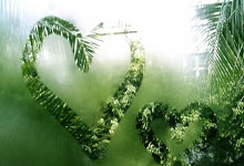 PG Soft Gaming-西悉尼流浪者防守反击战术成亮点，挑战欧洲豪强