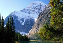 PG电子线上登入-南非足球破局之道：换帅掀起绿茵场变革风暴