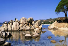 PG电子试玩-卡尔蒂斯球队目标明确，誓夺世俱杯最高荣誉