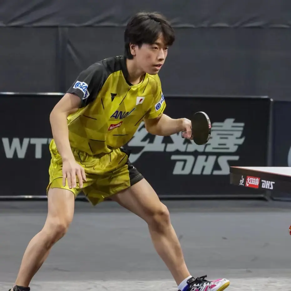 PG中国登录入口-欧预赛半决战决出胜负，胜队登上巅峰的简单介绍