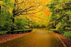 名古屋鲁能连胜收官,晋级梦想照进现实 名古屋鲁能连胜收官,晋级梦想照进现实